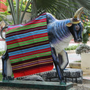 Multi colour stripes Bhavani Jamakkalam