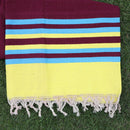 Multi colour stripes Bhavani Jamakkalam